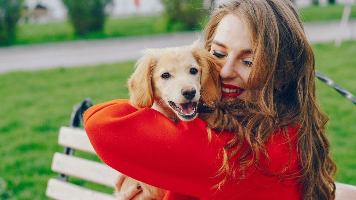 15 Best Ideas To Earn Money If You Are Passionate About Dogs